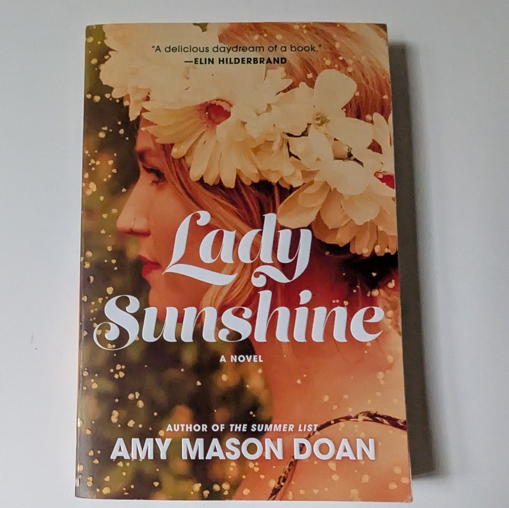 Lady Sunshine A Novel by Amy Mason Down Paperback Book